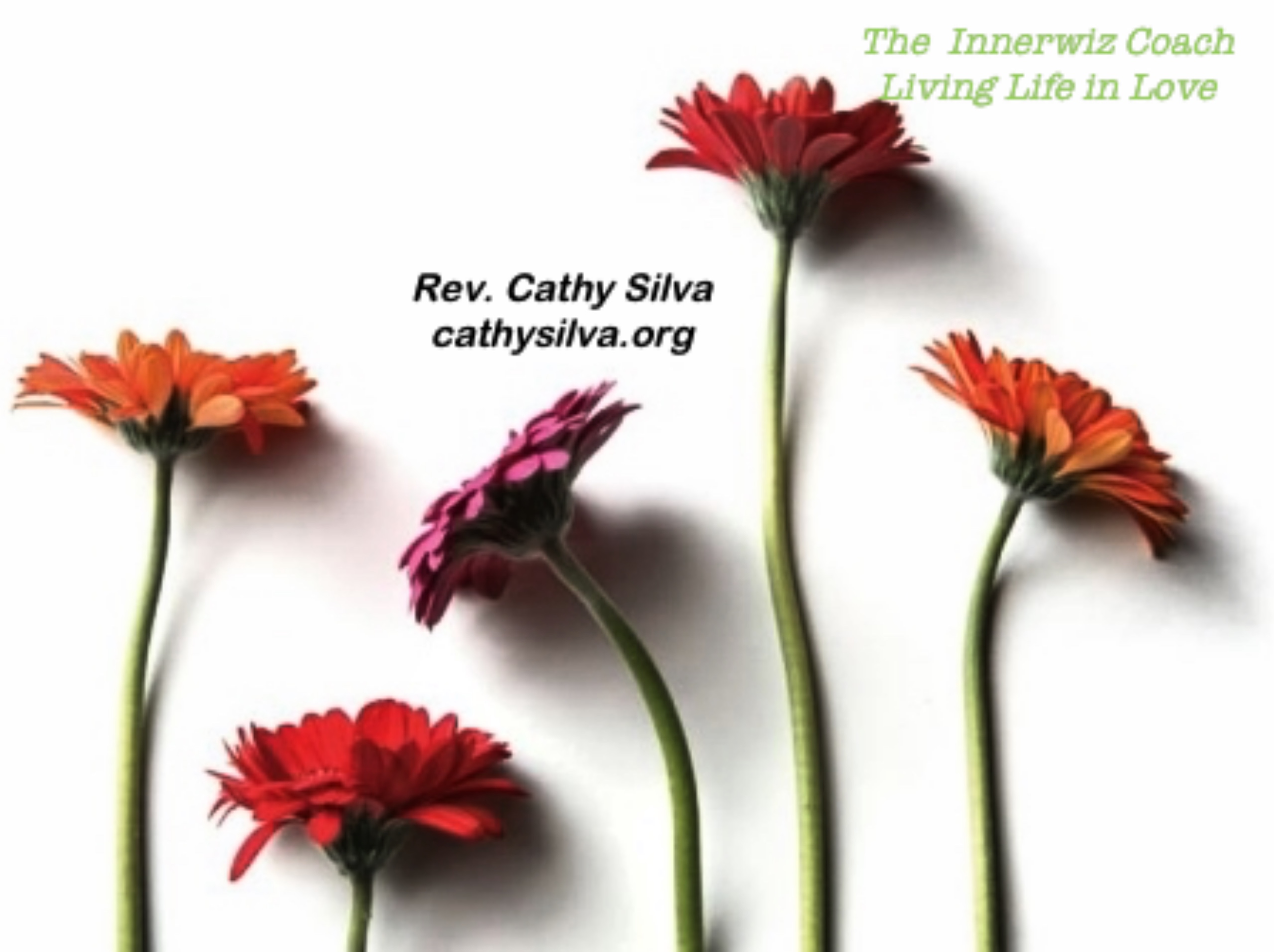 Rev. Cathy Silva,  The Innerwiz Coach